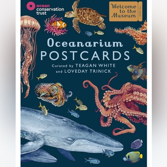 NEW Oceanarium Postcards by Teagan White and Loveday Trinick - Multicolor RARE - Picture 8 of 9